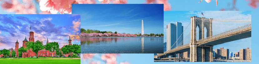 banner image for blog titled :Spring Break Travel with Tripper Bus: Top Things to Do in DC & NYC